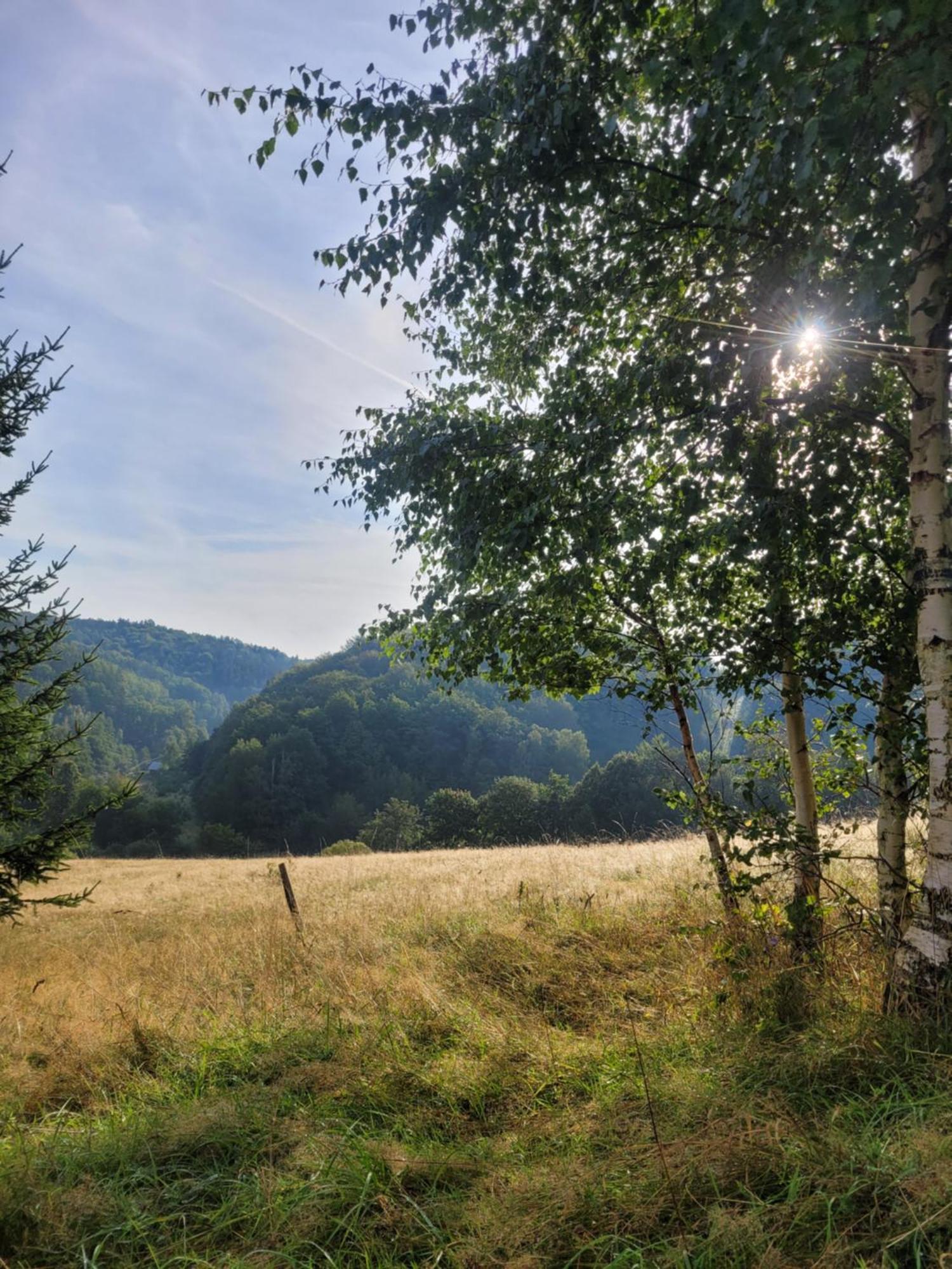 Forest Camp Dom W Gorach Sowich Michalkowa Exterior foto