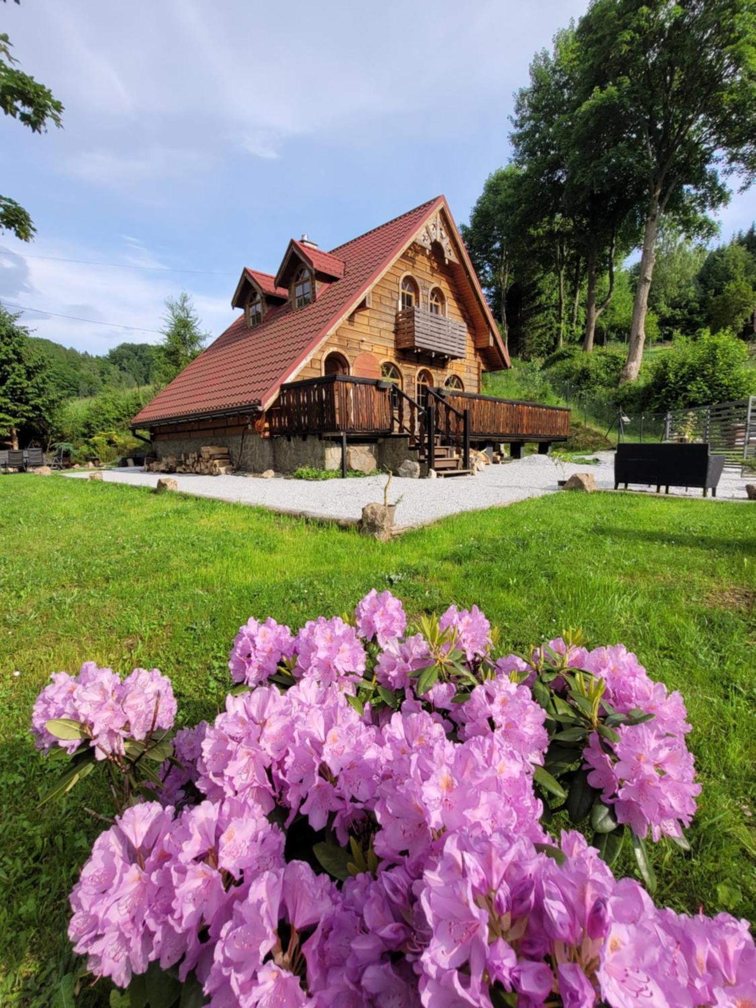Forest Camp Dom W Gorach Sowich Michalkowa Exterior foto